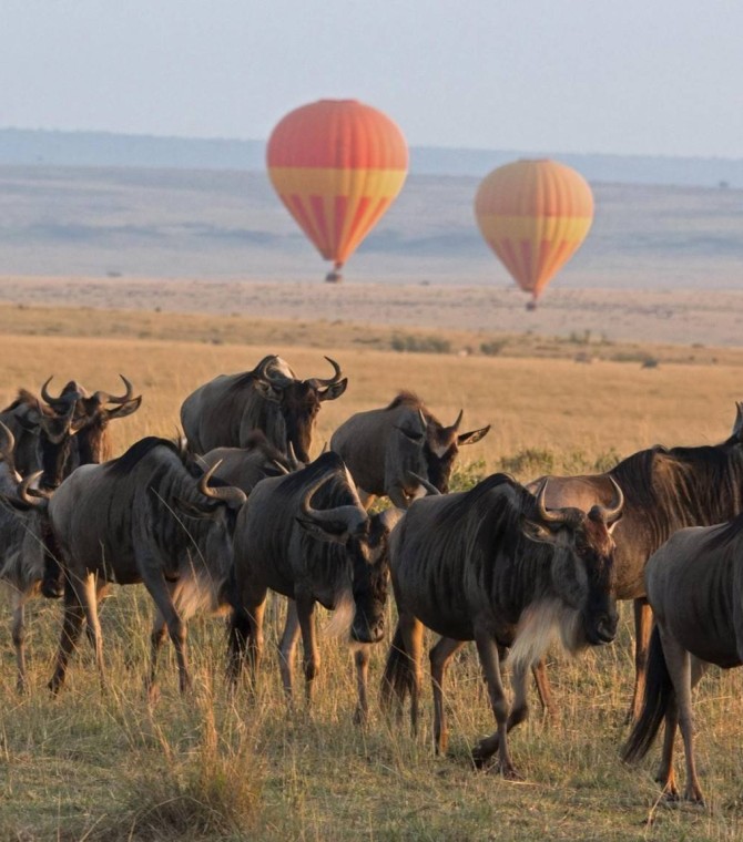 Founders' Adventure: Journey to Africa